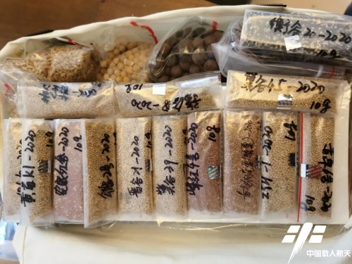 新飛船試驗船成功返回！還帶回這些“特別乘客”