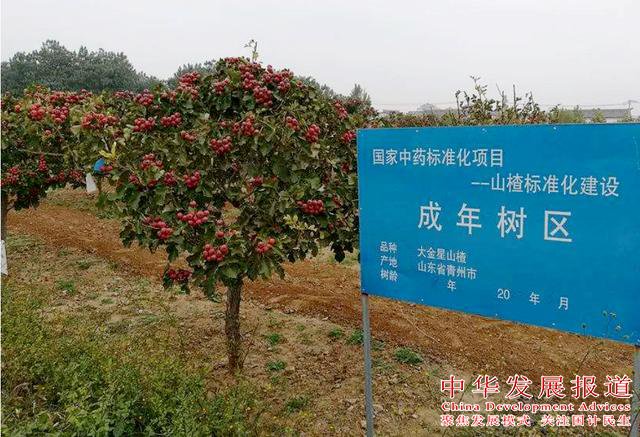匠心傳承古老技藝 科學釀就天然芬芳