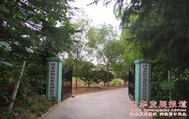 匠心傳承古老技藝 科學釀就天然芬芳