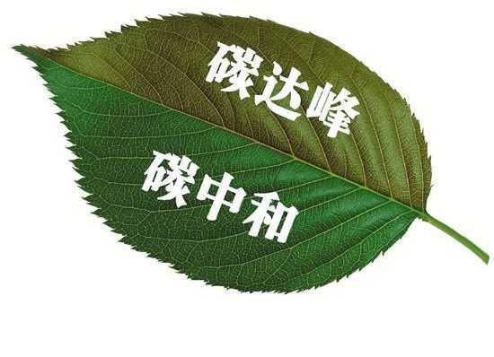 圖片1.png