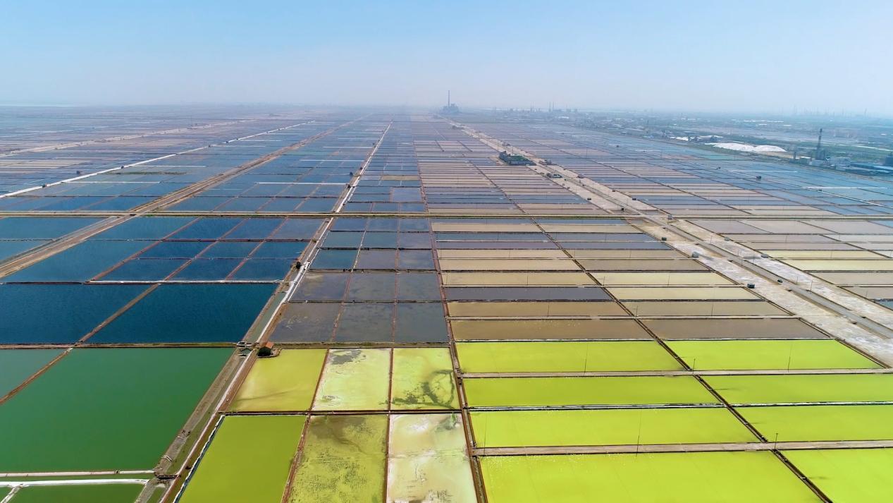《歲月里的結晶》無字幕版-00_02_13-2022_02_18_08_59_29