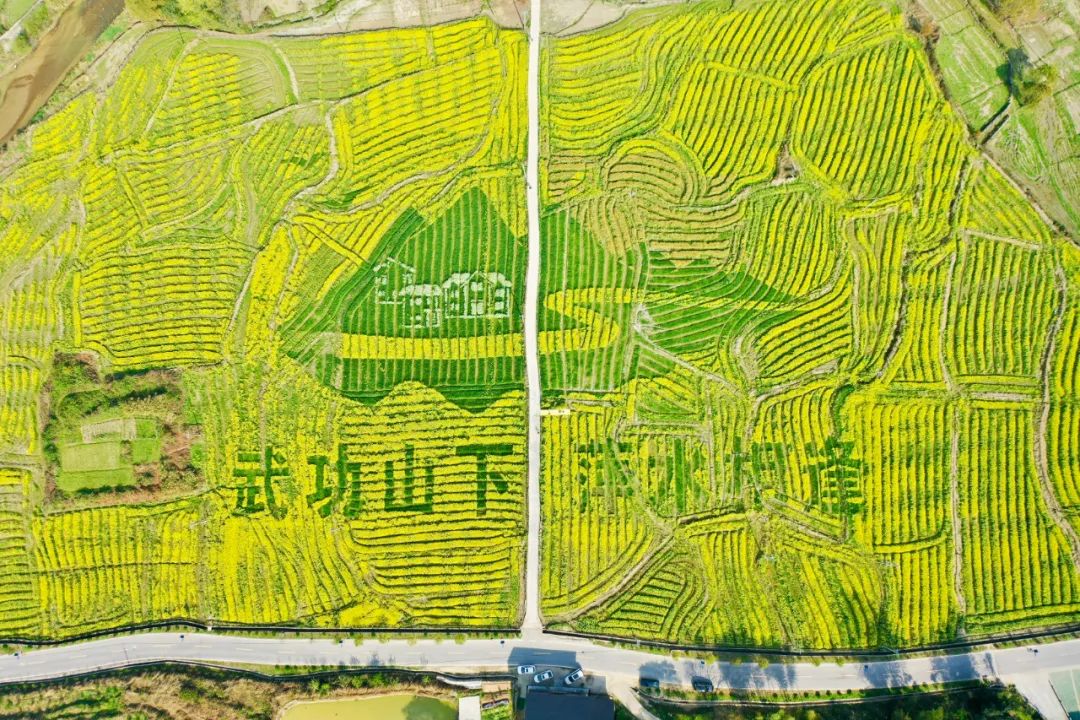 圖片 圖片
