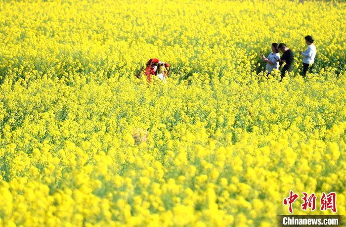 游客花海賞花。　王東明 攝
