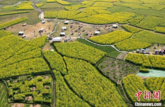 鄉約福建：“賞花經濟”助鄉村振興